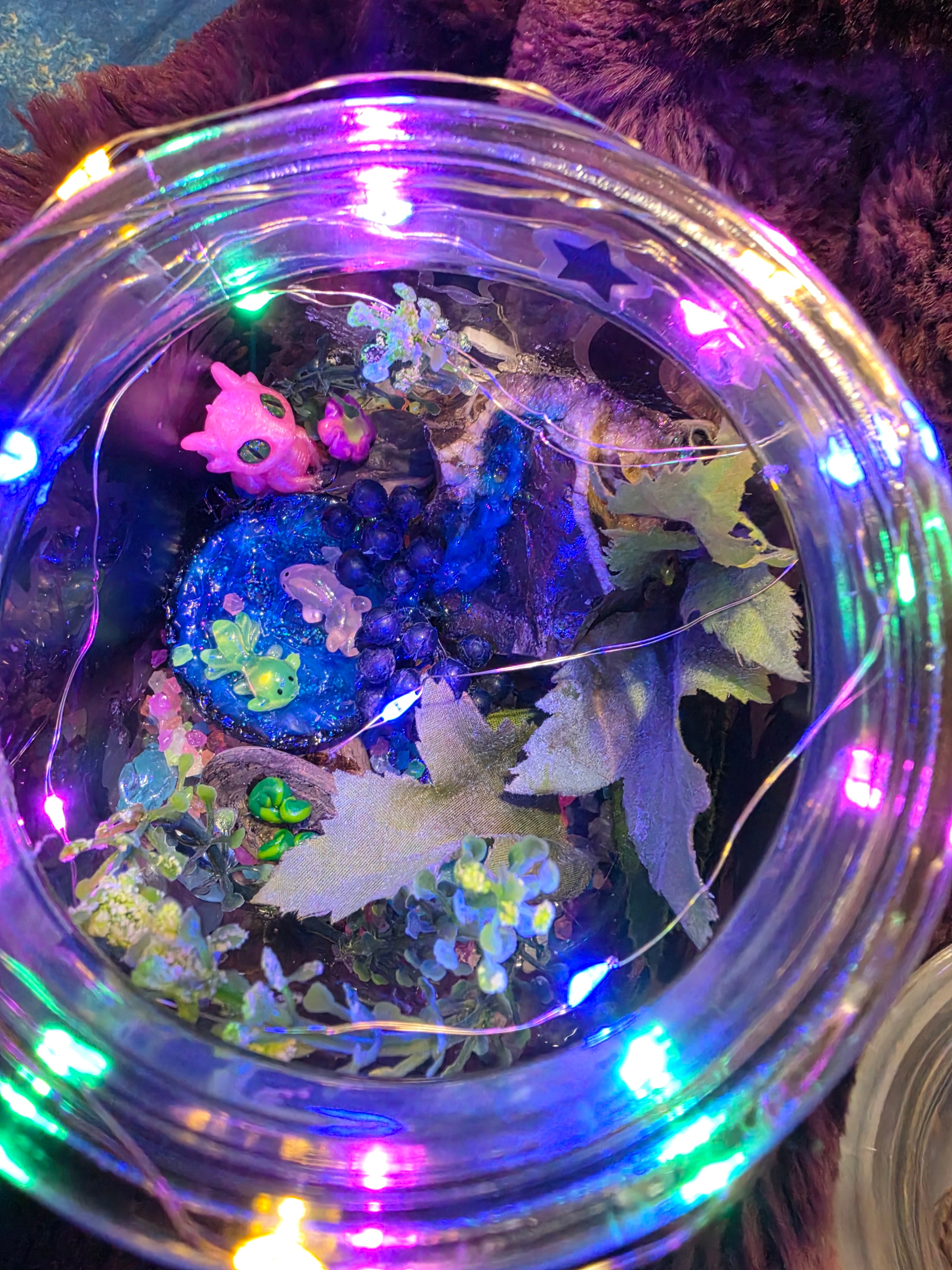 Dragon's and Fairies